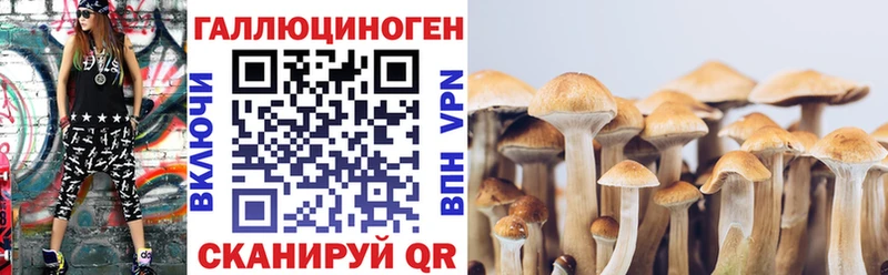 Галлюциногенные грибы Magic Shrooms  Сясьстрой 